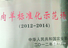 國家級肉羊標(biāo)準化示范場